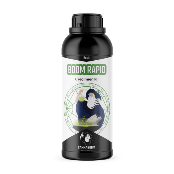BOOM RAPID BASIC