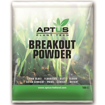 BREAKOUT POWDER