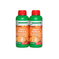 COCO FORTE A+B 1 L