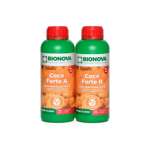 COCO FORTE A+B 1 L
