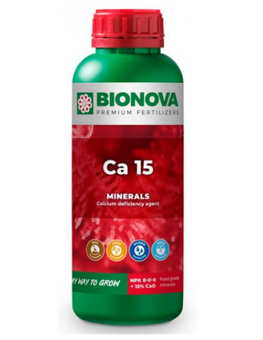 CALCIO 15 1 L