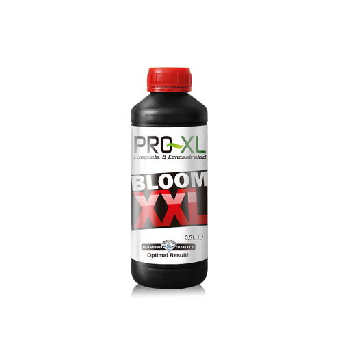 BLOOM XXL 100 ML