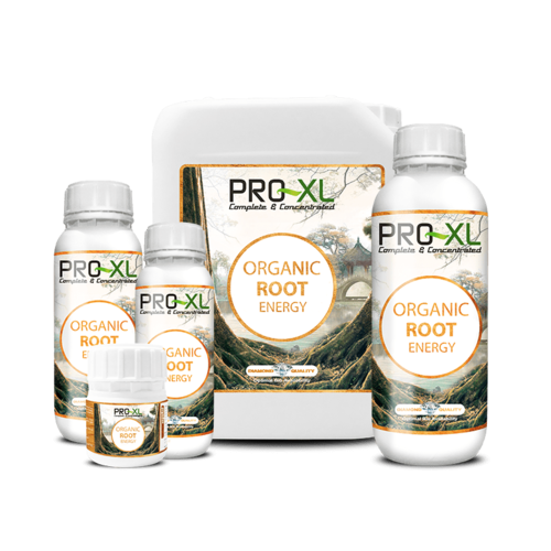 ORGANIC ROOT ENERGY 100 ML