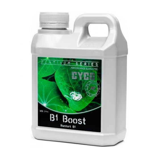 B1 BOOST 250 ML