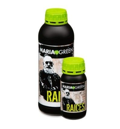 RAÍCES