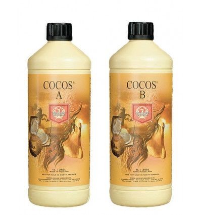 COCO A+B