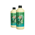 AQUA FLAKES A&B