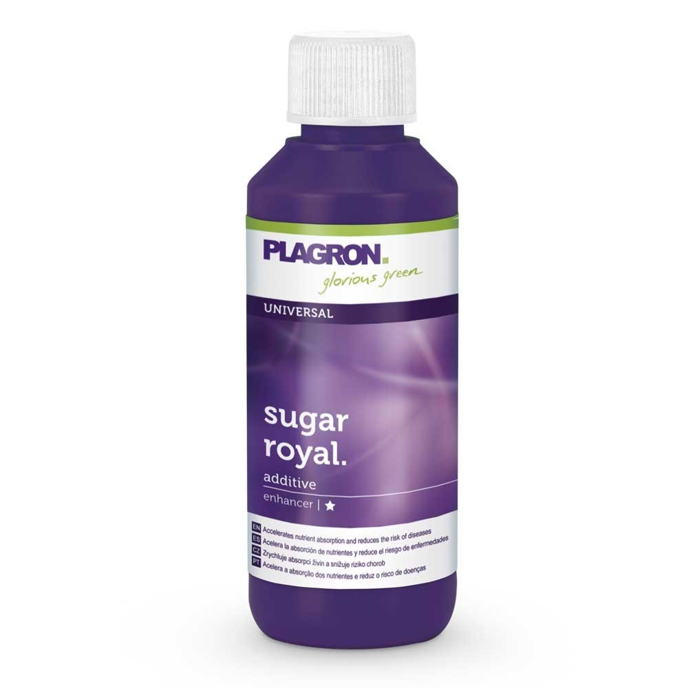SUGAR ROYAL PLAGRON