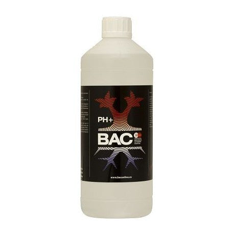 PH UP BAC