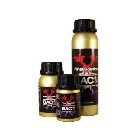 FINAL SOLUTION BAC