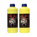 COCO A+B BLOOM BAC