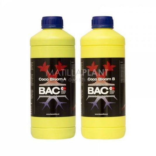COCO A+B BLOOM BAC