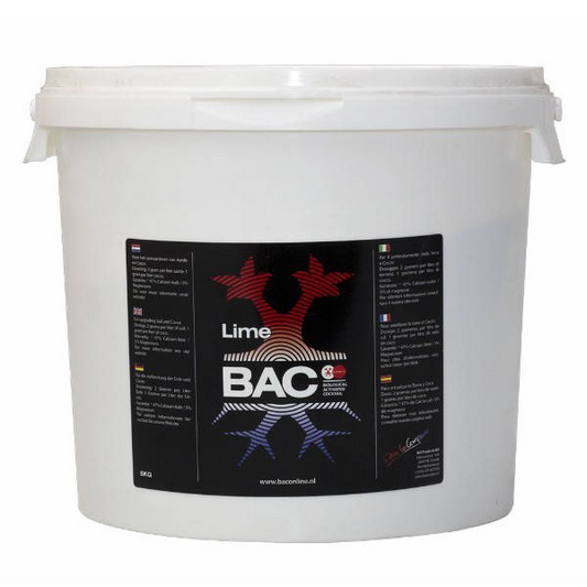 LIME CHALK CALCIO EN POLVO