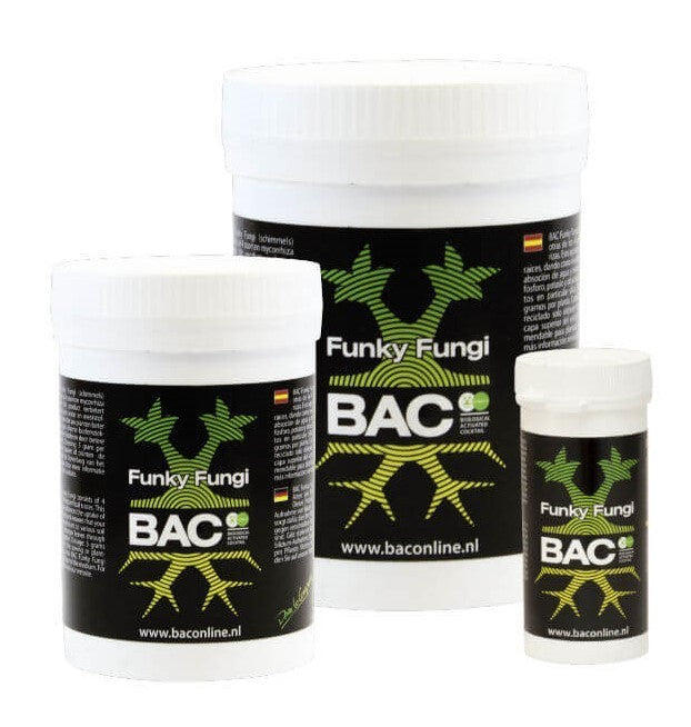 FUNKY FUNGI BAC