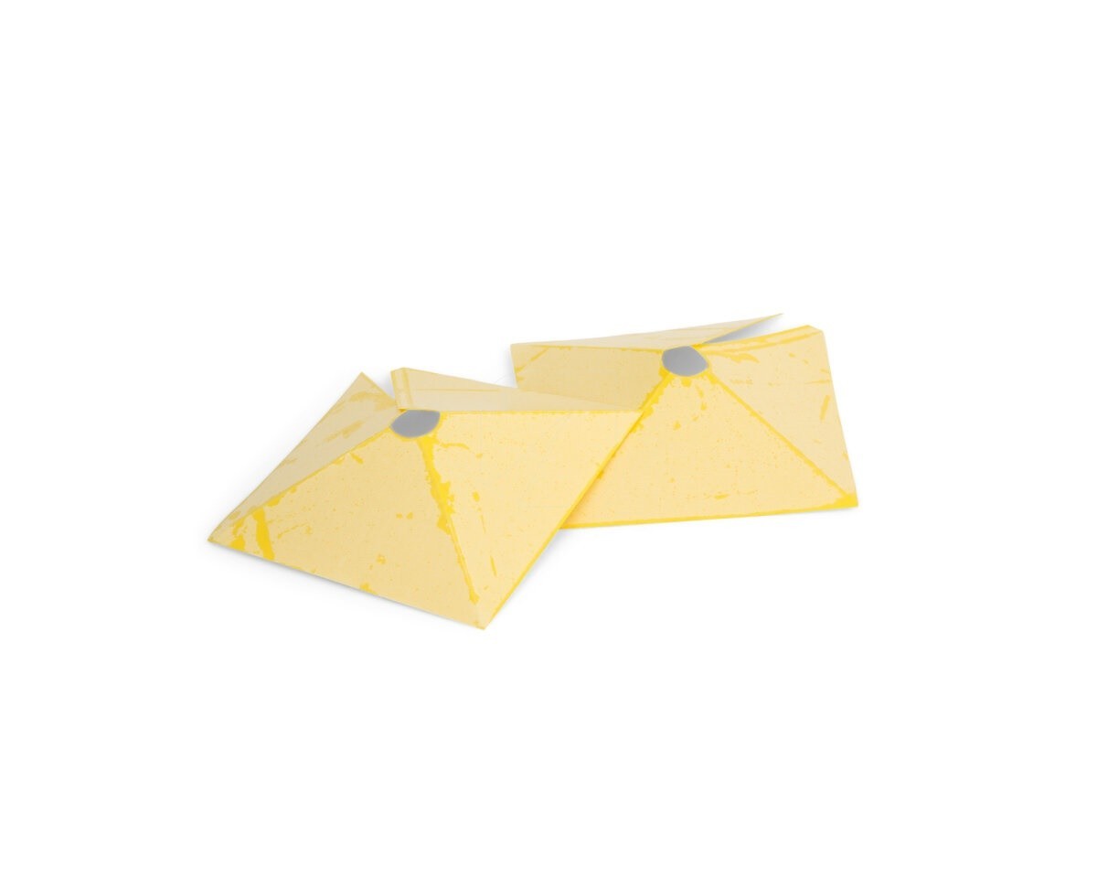 TRAMPAS PYRAMID TRAP