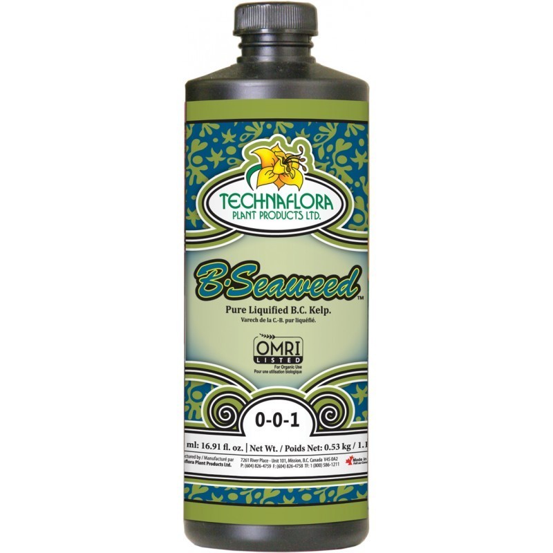 B.SEAWEED 500 ML