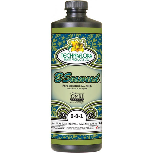 B.SEAWEED 500 ML