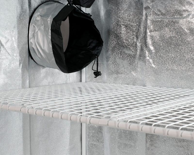 Dark Box Propagator