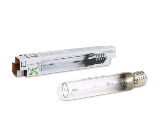 BOMBILLA SODIO VANGUARD 600W