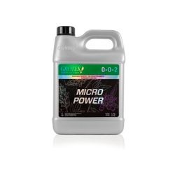 Micropower