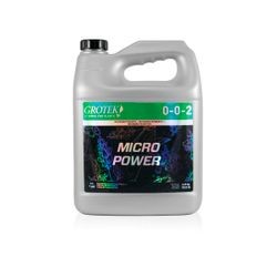 Micropower