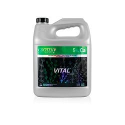 Vital™