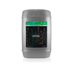 Vital™