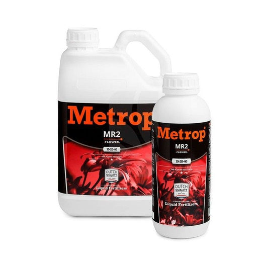 MR-2 Floracion