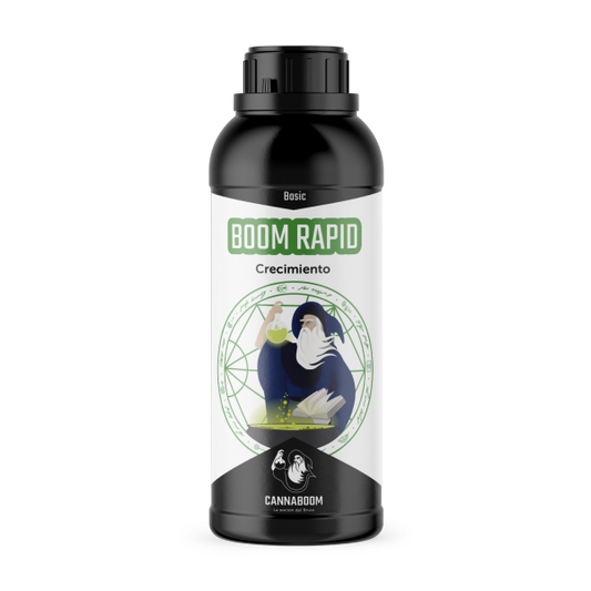 BOOM RAPID BASIC