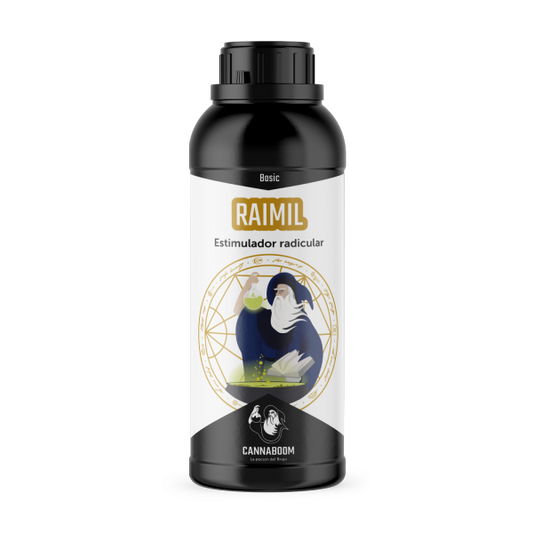 RAIMIL BASIC