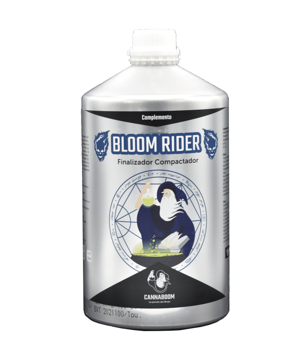 BLOOM RIDER