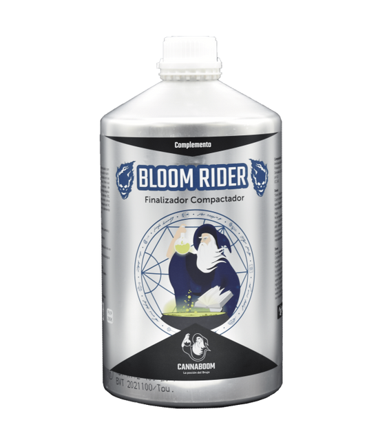BLOOM RIDER
