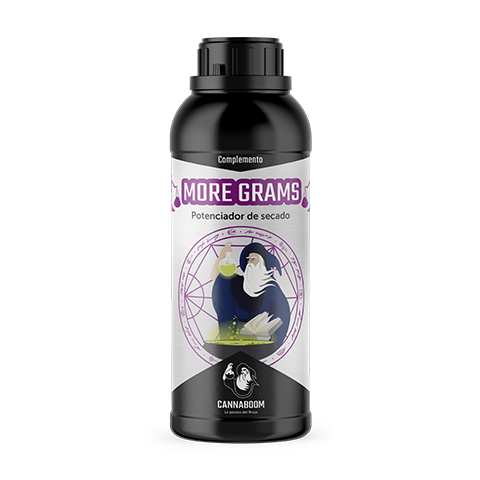 MORE GRAMS