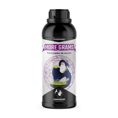 MORE GRAMS
