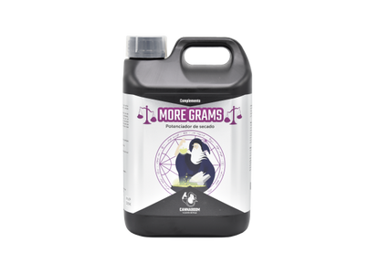 MORE GRAMS