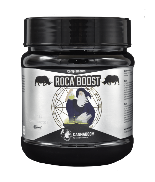 ROCA BOOST