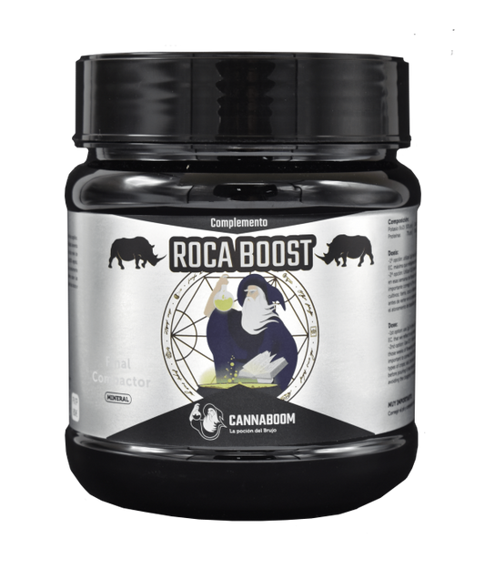 ROCA BOOST