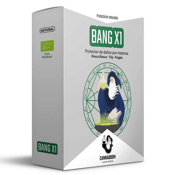 BANG X1