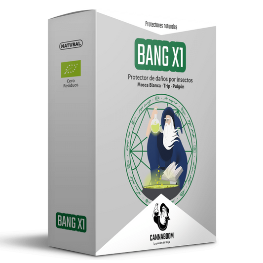 BANG X1