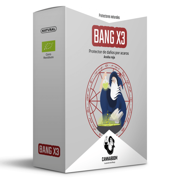 BANG X3