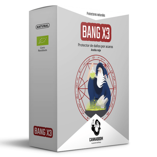 BANG X3