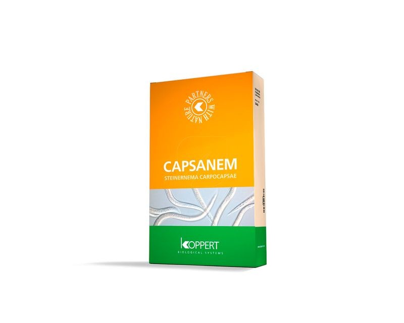 Capsanem 1.500M