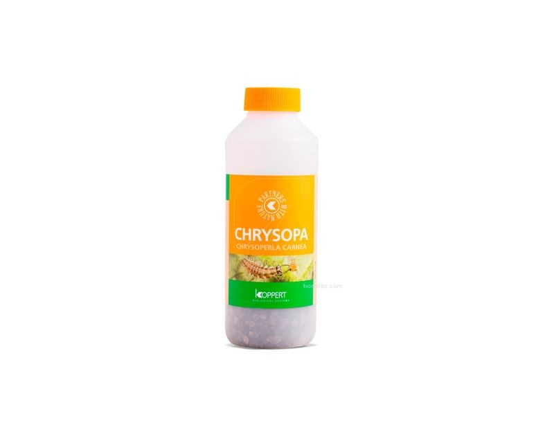 Chrysopa 1000 (Pulgon)