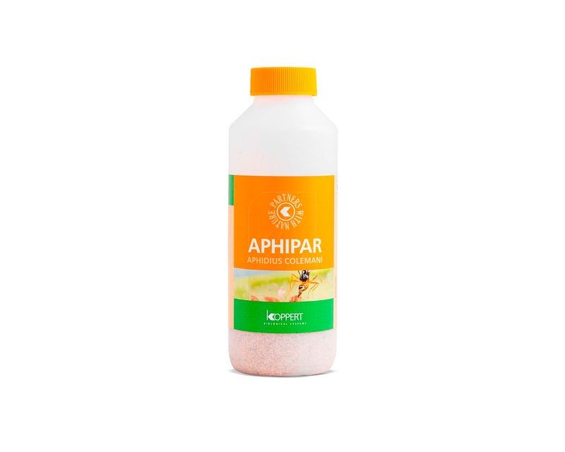 Aphipar 500 (Aphidius Colemani)