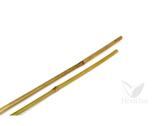 Tutor Bambú