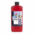 Mills Basis B