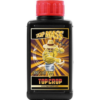 Top Mass