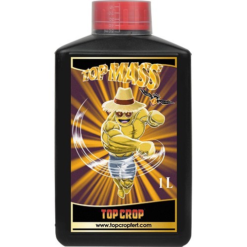 Top Mass