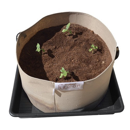 Pack Urban Crop L