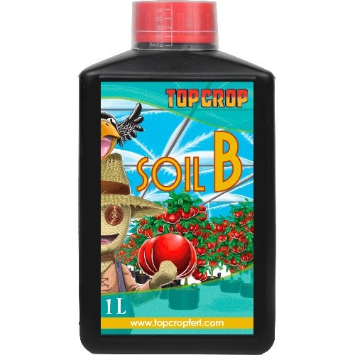 Soil B